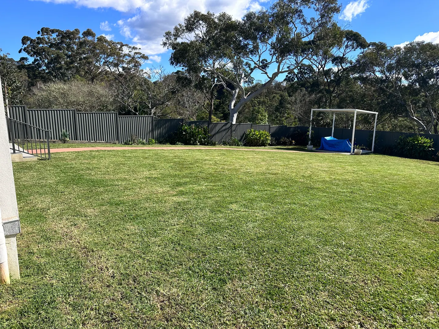 A maintained residential lawn bordered by fencing and established trees